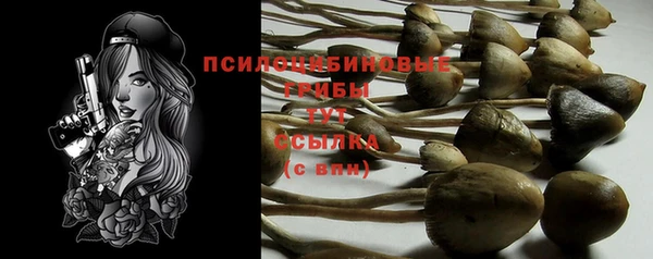 герыч Абдулино