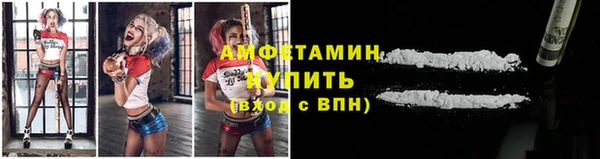 винт Абаза